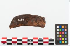 Foto von Eisenmesser (NHMW-PRAE-002288)